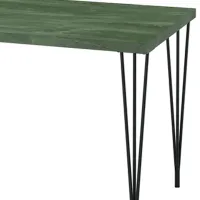 Кухонный стол зафиксированный Ikea Skalsta ДСП/ Тёмно-зелёный photo 2