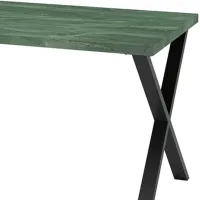 Кухонный стол зафиксированный Ikea Skalsta X ДСП/ Зеленый photo 2