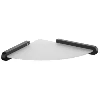 Raft pentru baie Bisk Futura Sticlă / Black Transparent