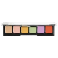 Fard de pleoape Golden Rose Correct & Conceal 12 g / Camouflage Cream Pallete