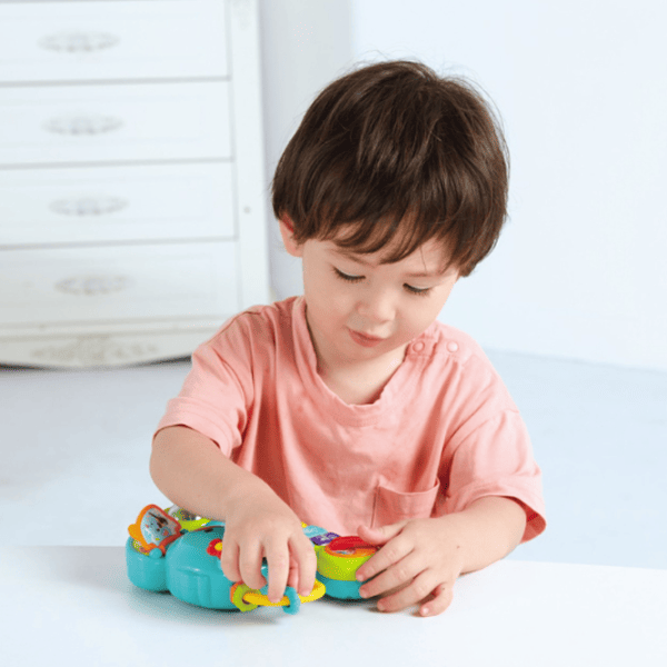 Pian Hola Toys Elephant 12 luni / Green photo 4