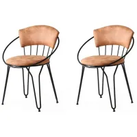 Set scaune de bucătarie Trendy Istanbul Velvet/ Beige Black