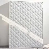 Saltea ortopedică Trendy Serra 100 x 200 cm Înălțimea saltelei: 26 cm photo 4