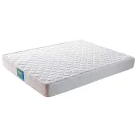 Saltea ortopedică Trendy Hazan 90 x 200 cm Înălțimea saltelei: 22 cm