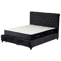 Pat Trendy Set Deluxe  / DSP / Antracit