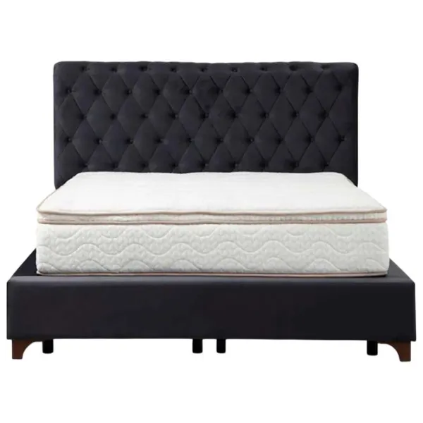 Pat Trendy Set Deluxe v2  / DSP / Antracit photo 3