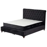 Pat Trendy Set Deluxe v3  / DSP / Antracit