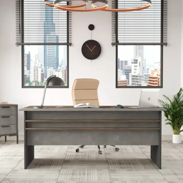 Masă de birou Trendy VS1-CGA Lemn/ Gray photo 4
