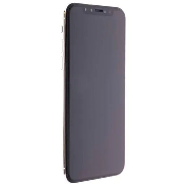 Sticlă de protecție Apple iPhone 11 Pro PanzerGlass /  photo 2