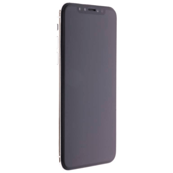 Sticlă de protecție Apple iPhone 11 Pro PanzerGlass /  photo 2