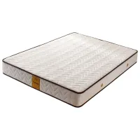 Saltea ortopedică Trendy Memory Exclusive 90 x 190 cm Înălțimea saltelei: 23 cm