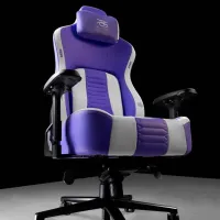Scaun Gaming Proove Geek White Violet photo 6