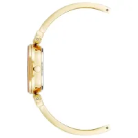 Наручные часы для женщин ANNE KLEIN AK/1980MIGB Кварцевый / 28 мм photo 2
