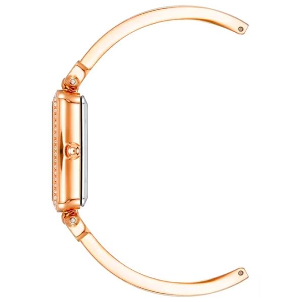Ceas de mână pentru femei ANNE KLEIN AK/3898WTST Cuarț / 34 x 22 mm photo 2