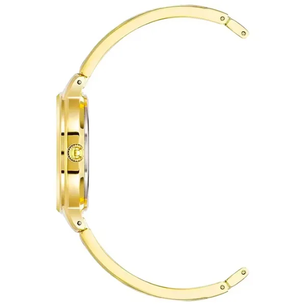 Ceas de mână pentru femei ANNE KLEIN AK/2626CHGB Cuarț / 30 mm photo 2