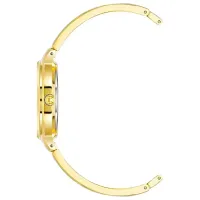 Наручные часы для женщин ANNE KLEIN AK/2626CHGB Кварцевый / 30 мм photo 2