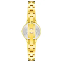 Наручные часы для женщин ANNE KLEIN AK/2626CHGB Кварцевый / 30 мм photo 4