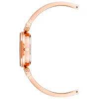Наручные часы для женщин ANNE KLEIN AK/1980WTRG Кварцевый / 28 мм photo 2