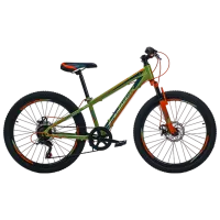 Bicicletă Fulger Avatar 24 24"  Oțel / Green Orange