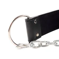 Спортивный пояс Zipro Dip Belt Для атлетики / Кожа / photo 7