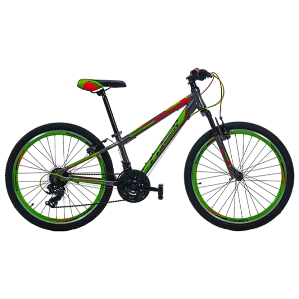 Велосипед Fulger Apollo 24 24" 12" Алюминий / Серый Зелёный photo 1