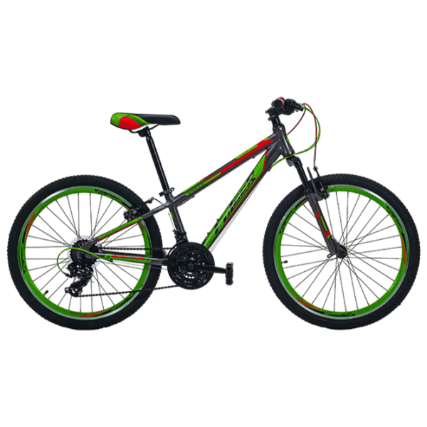 Велосипед Fulger Apollo 24 24" 12" Алюминий / Серый Зелёный photo 1