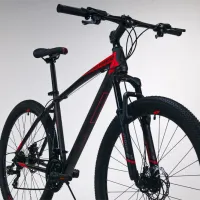 Bicicletă Fulger Phantom 29 29" Oțel / Black Red photo 7