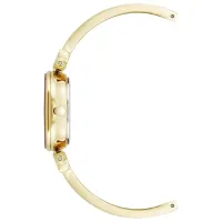 Наручные часы для женщин ANNE KLEIN AK/5140CHGB Кварцевый / 28 мм photo 2