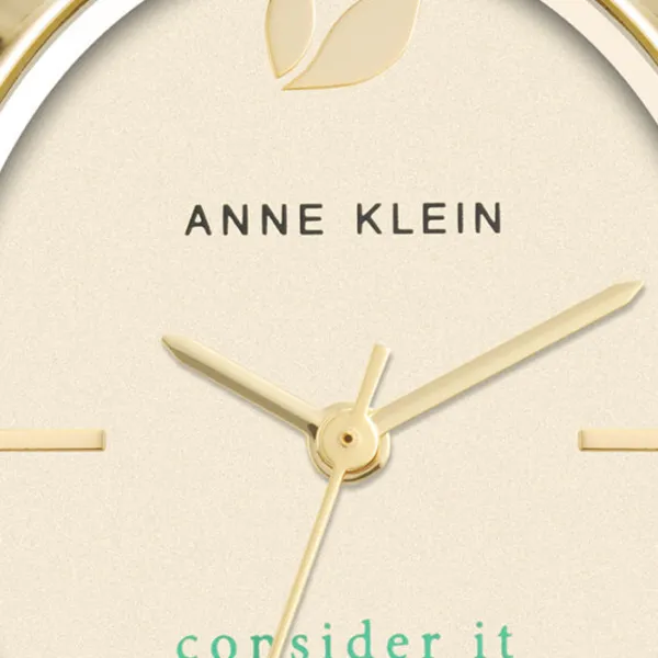 Наручные часы для женщин ANNE KLEIN AK/5154CHBN Кварцевый / 38 x 26 мм photo 4