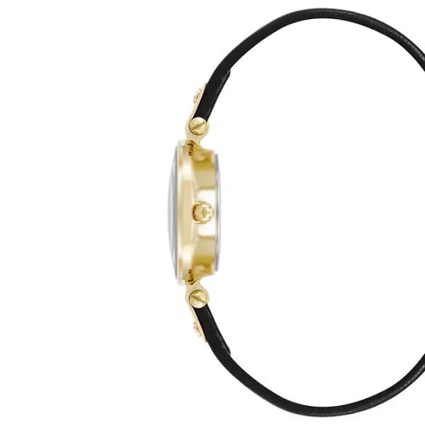 Наручные часы для женщин ANNE KLEIN AK/5144WTBK Кварцевый / 26 мм photo 2