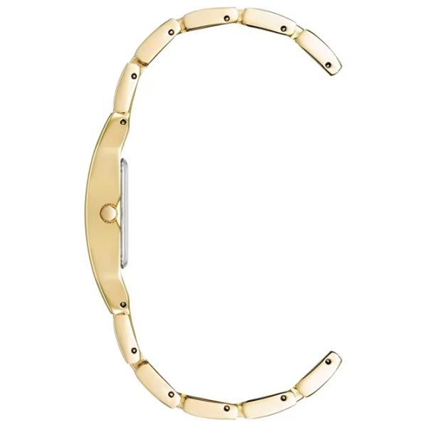 Наручные часы для женщин ANNE KLEIN 10/6418CHGB Кварцевый / 36 x 17 мм photo 2