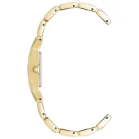 Ceas de mână pentru femei ANNE KLEIN 10/6418CHGB Cuarț / 36 x 17 mm photo 2