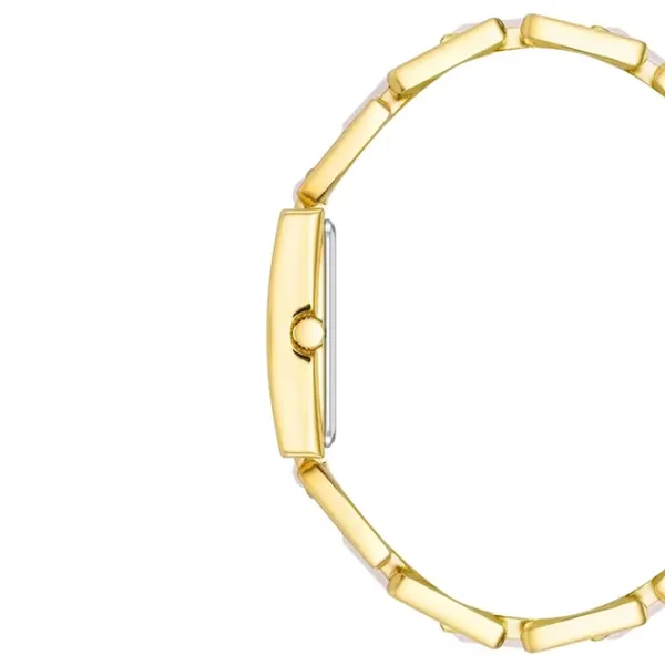 Ceas de mână pentru femei ANNE KLEIN AK/4156RQGB Cuarț / 28 x 21 mm photo 2