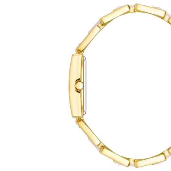 Ceas de mână pentru femei ANNE KLEIN AK/4156RQGB Cuarț / 28 x 21 mm photo 2