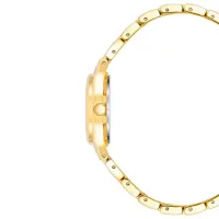 Наручные часы для женщин ANNE KLEIN 10/5490BKGB Кварцевый / 26 мм photo 2
