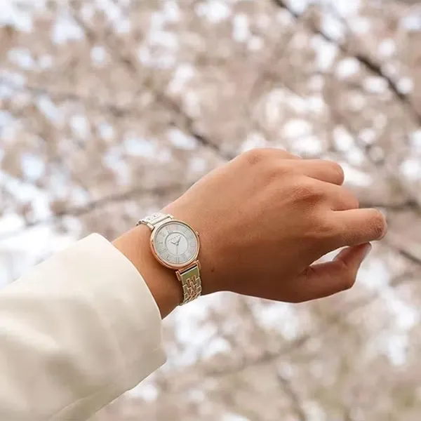 Наручные часы для женщин ANNE KLEIN AK/2159SVRT Кварцевый / 30 мм photo 5