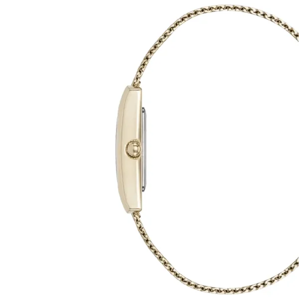 Ceas de mână pentru femei ANNE KLEIN AK/5232MPGB Cuarț / 30 x 20 mm photo 2