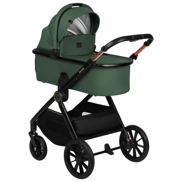 Cărucior pentru copil Lionelo Layla LN.123424/ Green photo 1