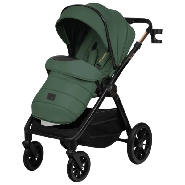 Cărucior pentru copil Lionelo Layla LN.123424/ Green photo 5