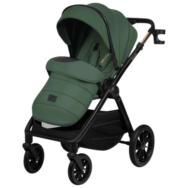 Cărucior pentru copil Lionelo Layla LN.123424/ Green photo 5