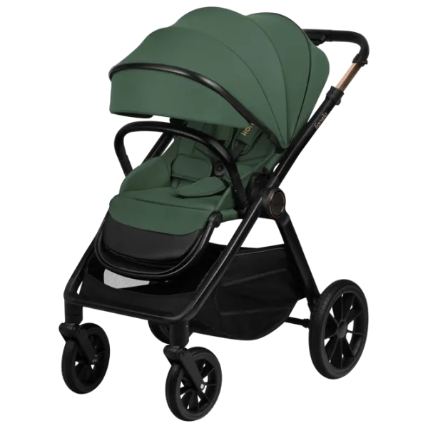 Cărucior pentru copil Lionelo Layla LN.123424/ Green photo 6