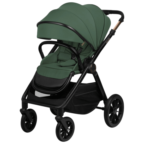 Cărucior pentru copil Lionelo Layla LN.123424/ Green photo 6
