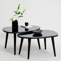 Набор журнальных столиков Trendy Gusto GTR001617 Черный photo 4