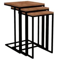 Set măsuțe de cafea Trendy Stoli GTR000930 Brown