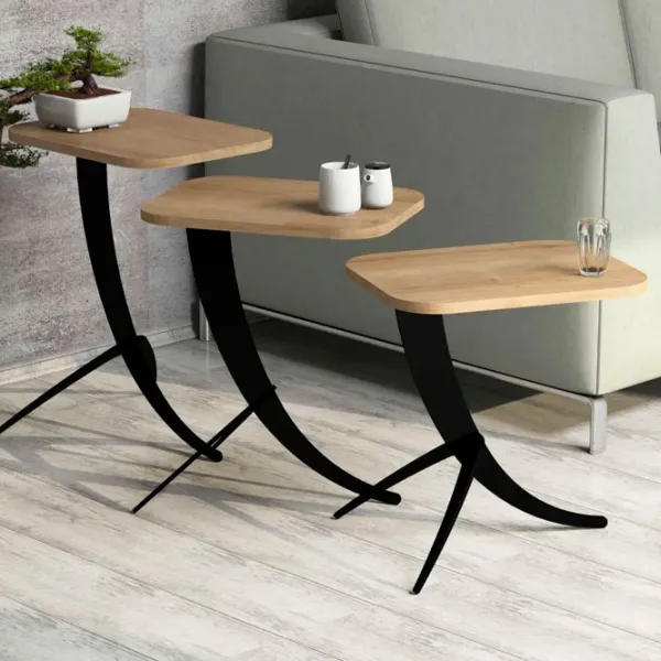 Set măsuțe de cafea Trendy Pion GTR000657 Stejar Sonoma photo 2