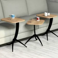 Набор журнальных столиков Trendy Pion GTR000657 Дуб Сонома photo 4