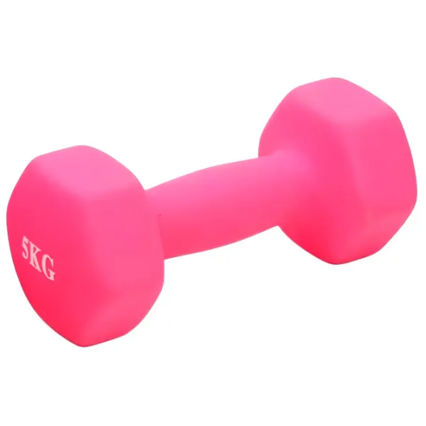 Ganteră 4Play Energo 5 kg / Cantitatea în set - 1 photo 1