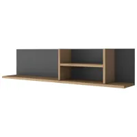 Raft Trendy AE103 2640 LPAL / Walnut Anthracite