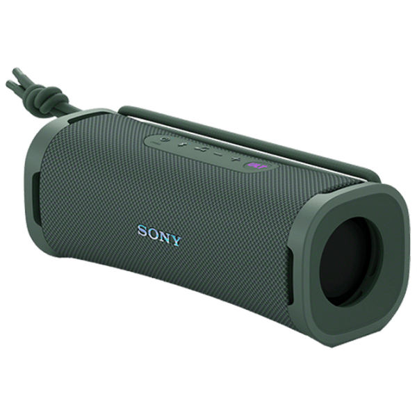 Портативная колонка Sony ULT FIELD 1 / Forest Gray photo 1