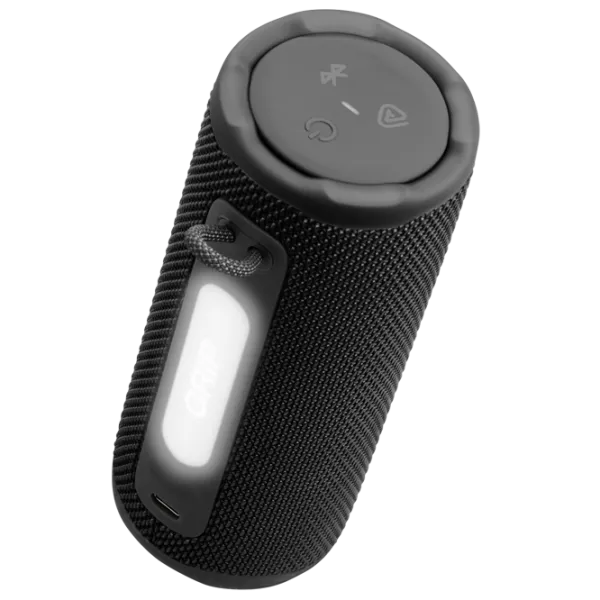 Портативная колонка JBL Grip 16 Вт/ Черный photo 5